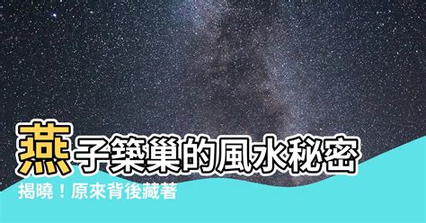 燕子築巢意義|【燕子築巢意義】燕子築巢的風水秘密揭曉！原來背後。